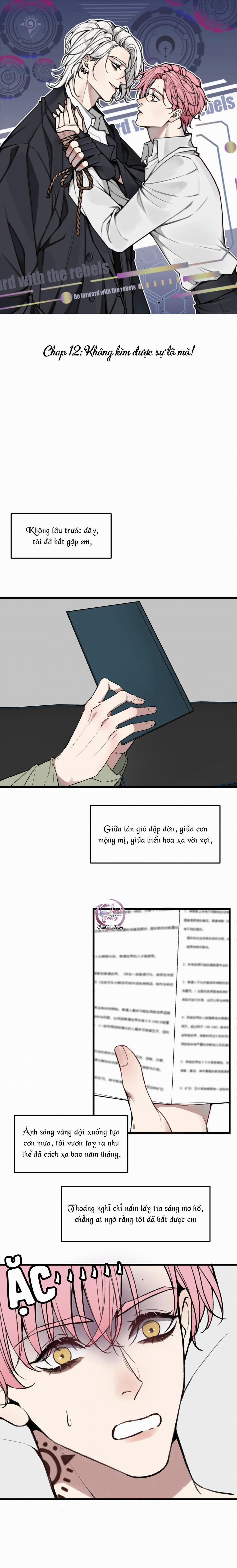Sánh Vai Cùng Kẻ Phản Nghịch 12 trang 0