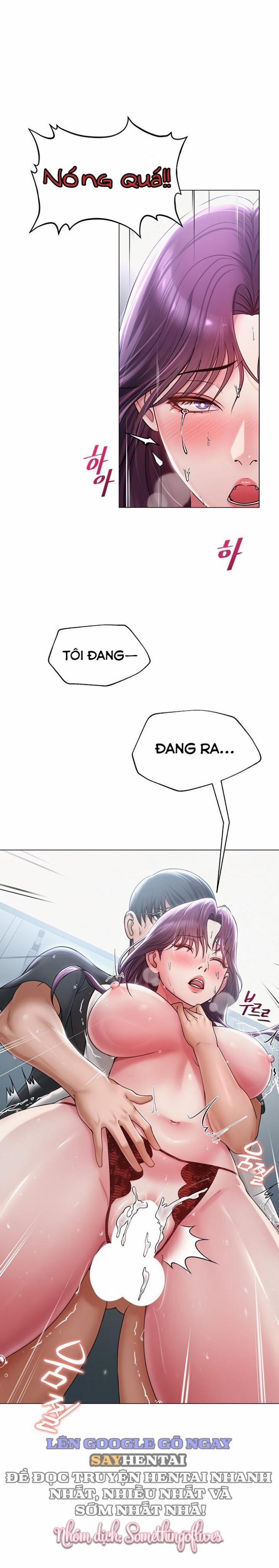 SNS 17 trang 0