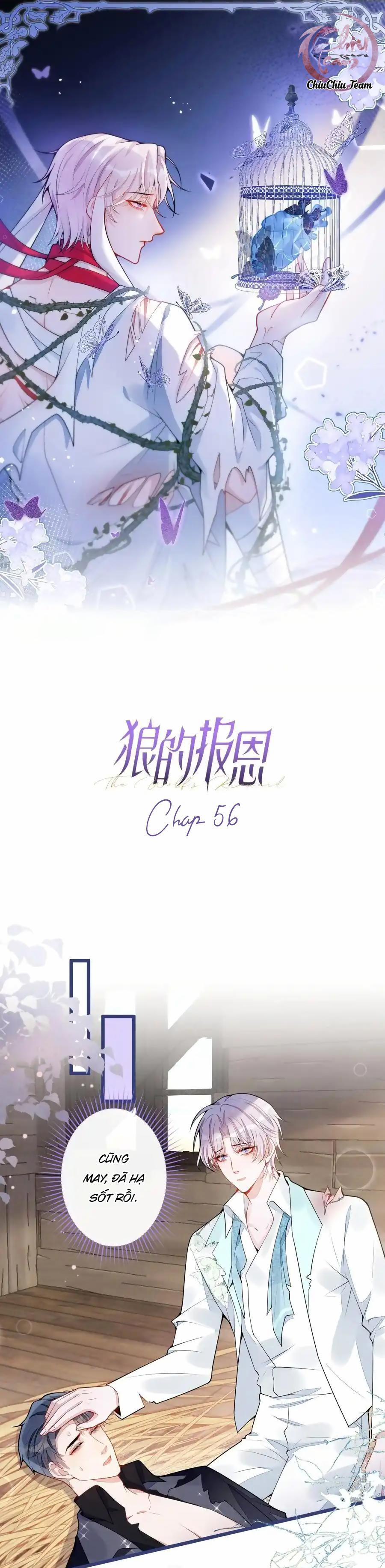 Sói Báo Ơn (END) 56 trang 0