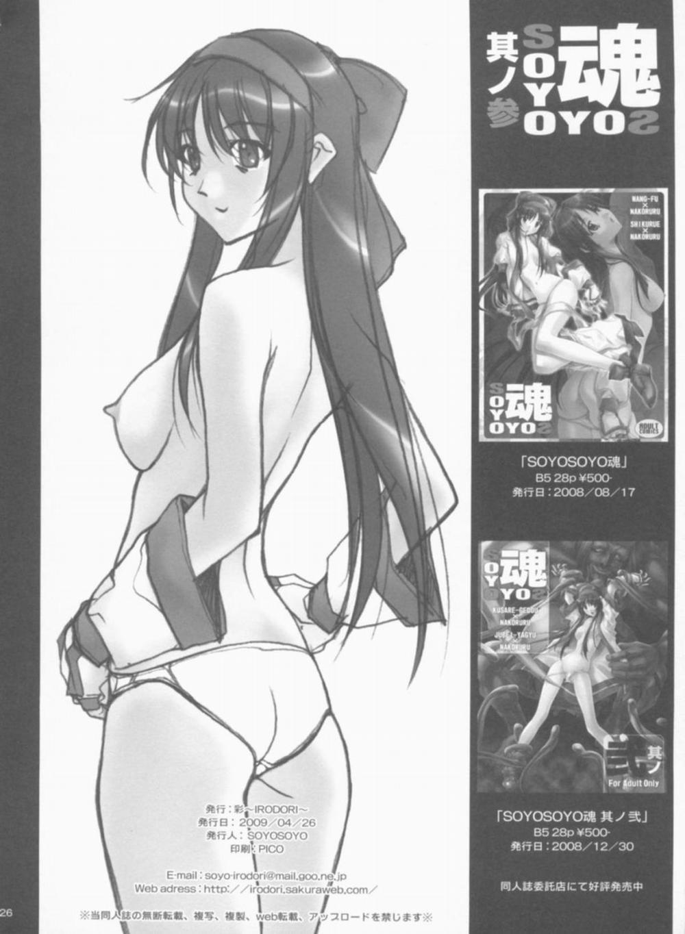SOYOSOYO魂 其ノ参 (Samurai Spirits) 3 trang 29