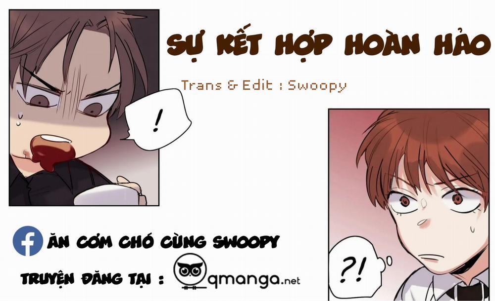 Sự Kết Hợp Hoàn Hảo End 3 trang 0