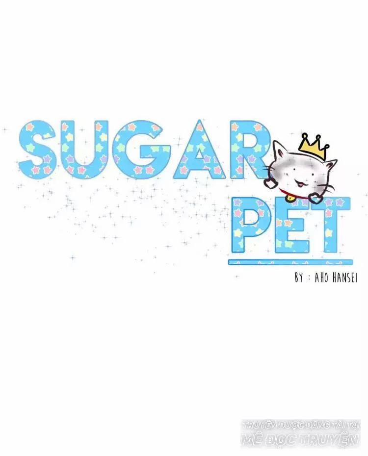 Sugar Pet 14 trang 0