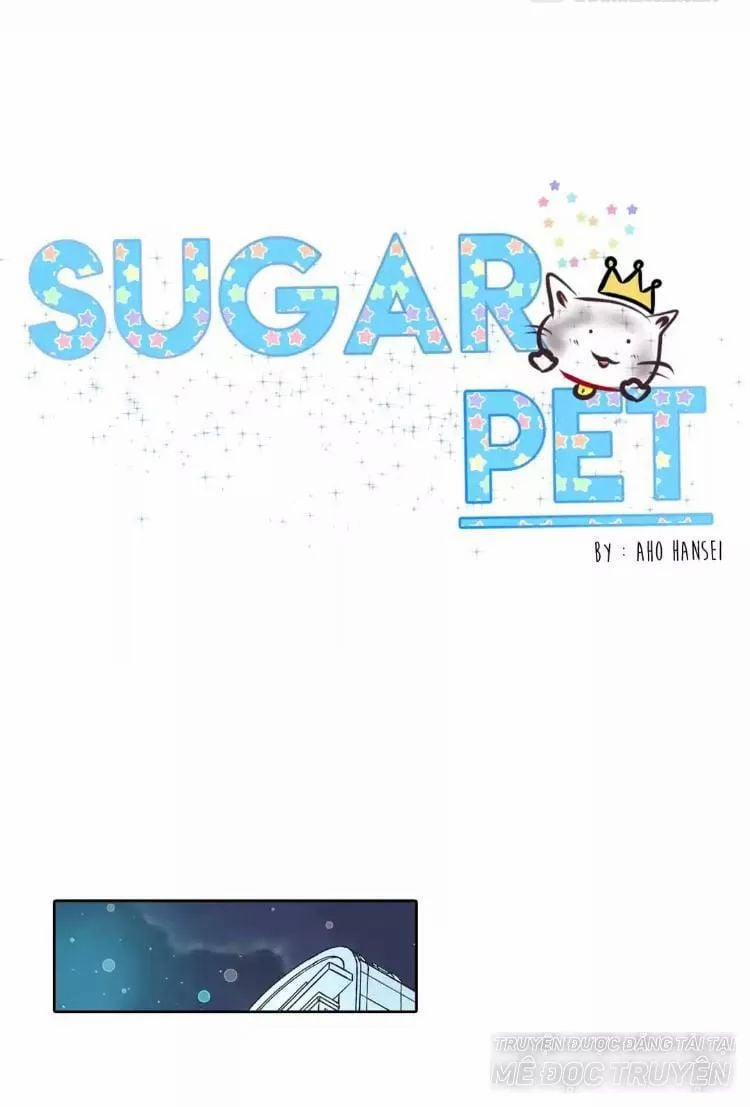 Sugar Pet 17 trang 0