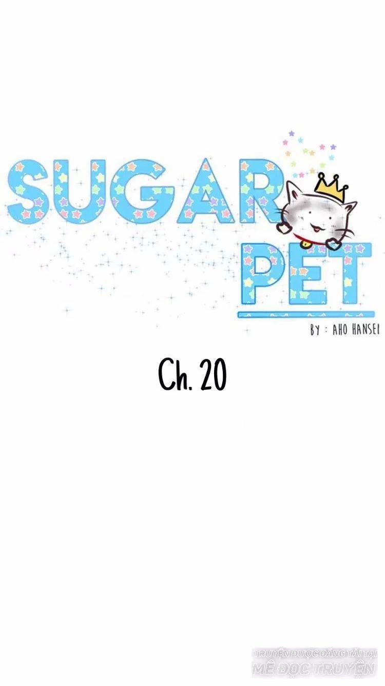 Sugar Pet 20 trang 0