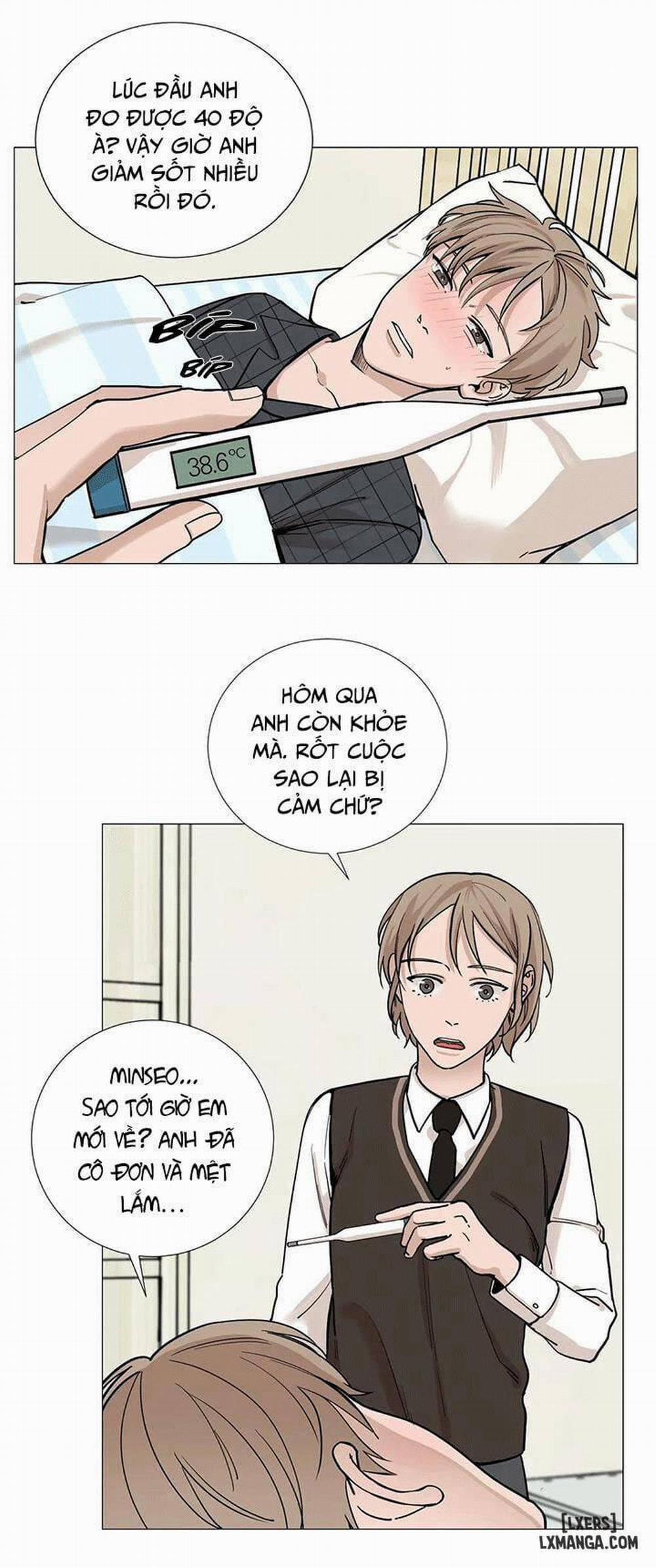 Suha Của Tôi 12 trang 0