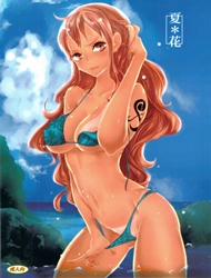 Đọc truyện tranh Summer Flower (One Piece)
