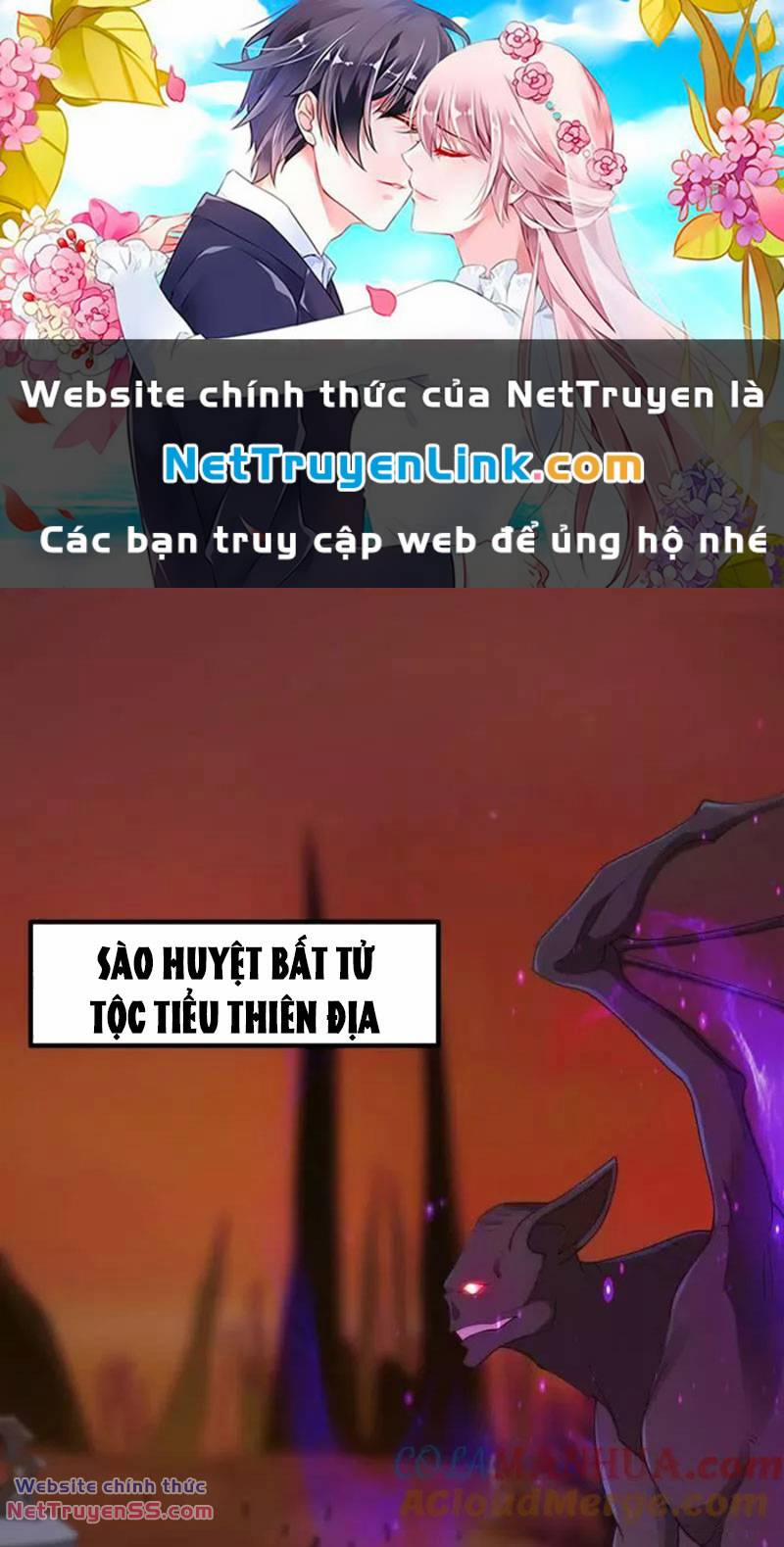 Ta Chẳng Qua Là Một Đại La Kim Tiên 372 trang 0