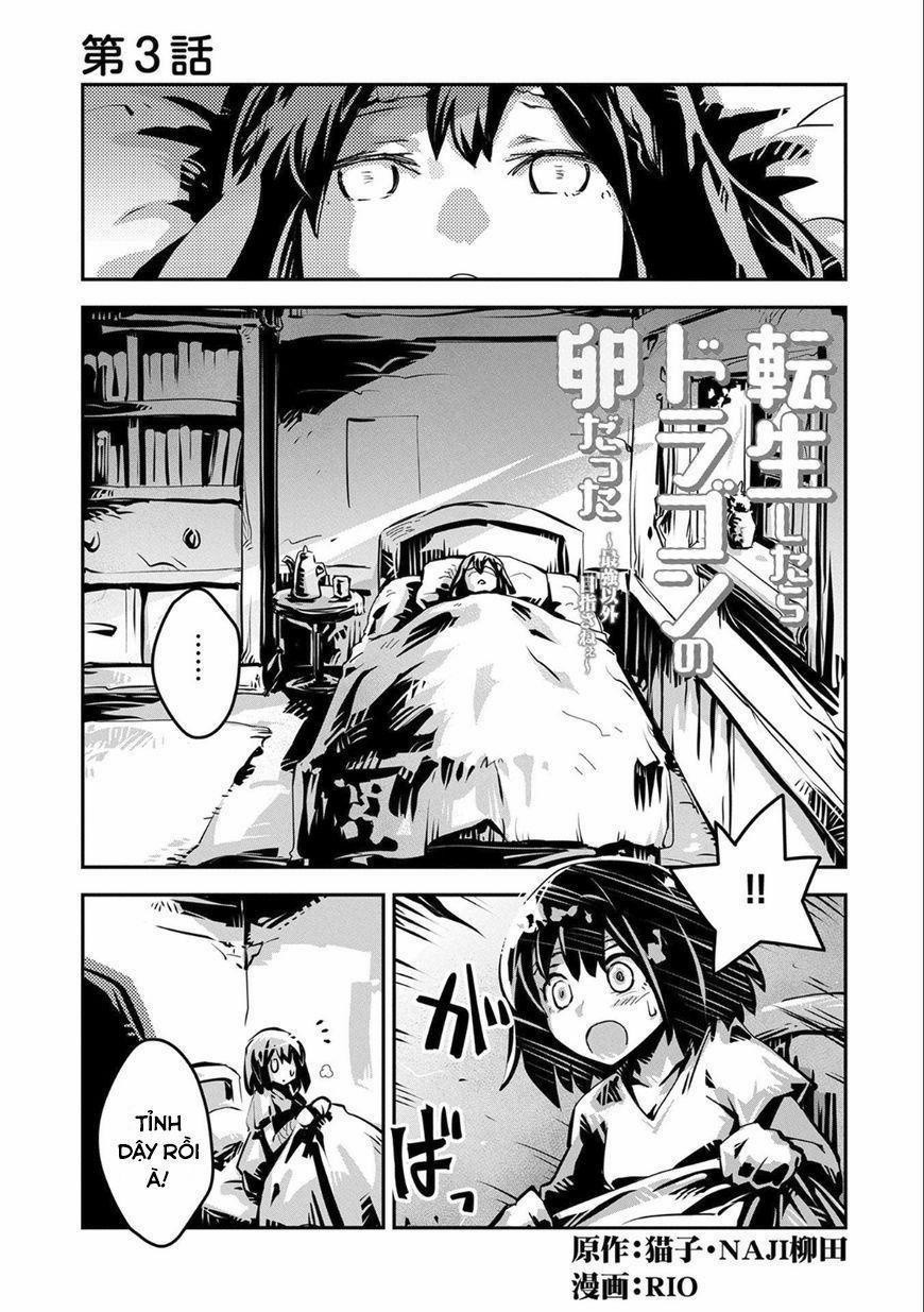 Tensei Shitara Dragon No Tamago Datta – Saikyou Igai 3 trang 0