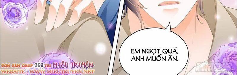 Thiểm Hôn Kiều Thê 269 trang 1