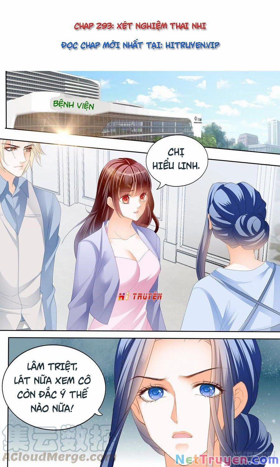 Thiểm Hôn Kiều Thê 293 trang 0