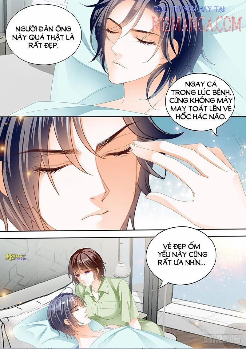 Thiểm Hôn Kiều Thê 299 trang 1