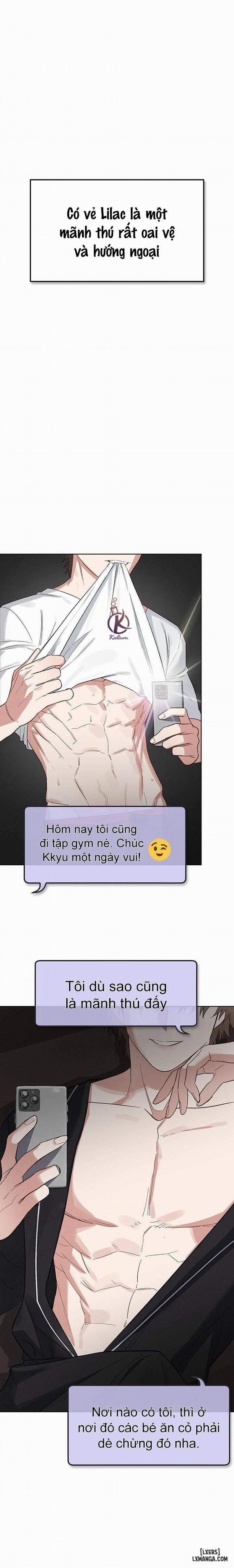 Thỏ 3 giây là bắn 2 trang 0