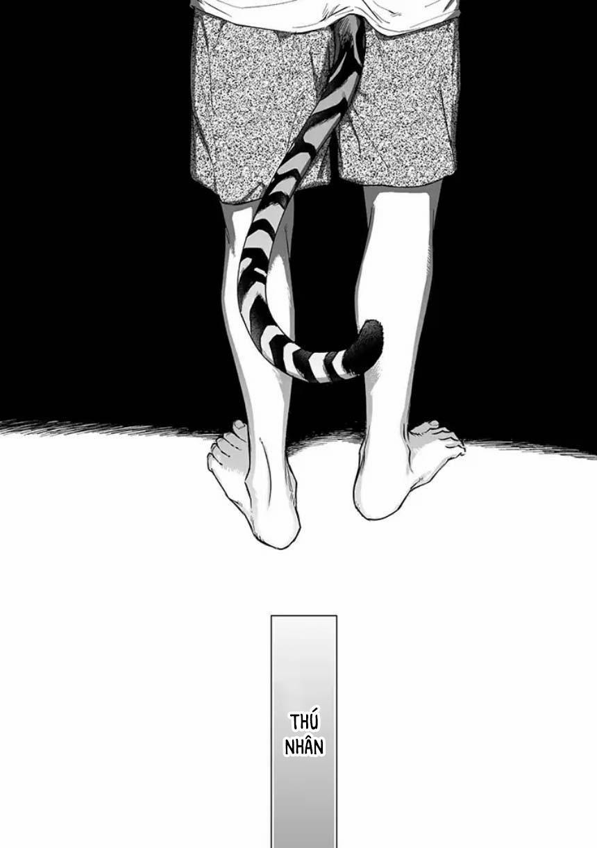 Tiger Bunny 1.1 trang 1