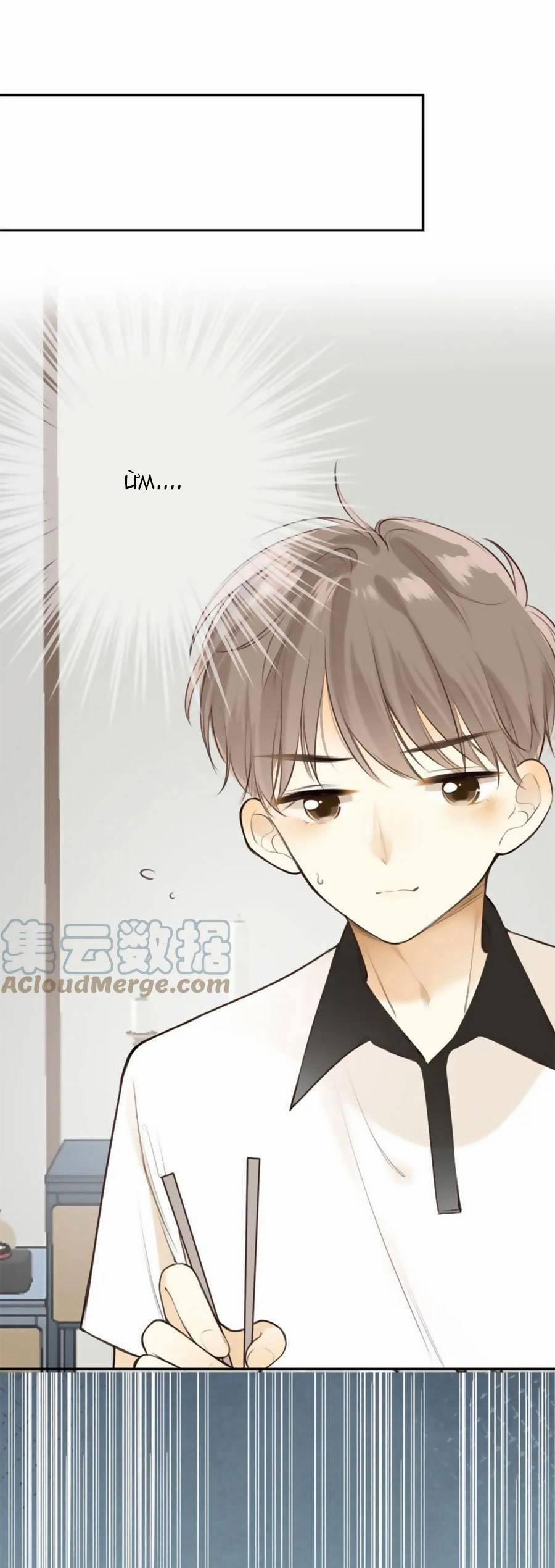 Tình Yêu Duy Nhất Của Tôi 39 trang 1