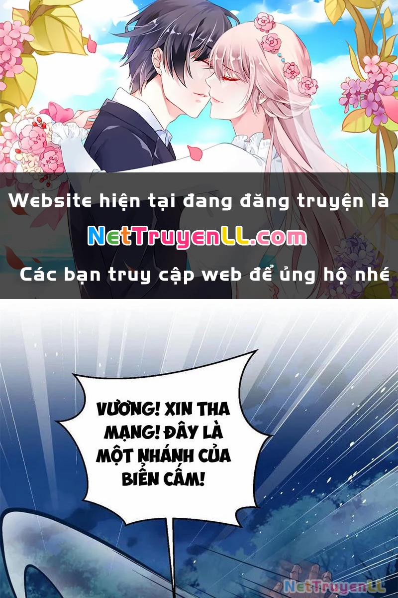 Toàn Cầu Cao Võ 265 trang 0