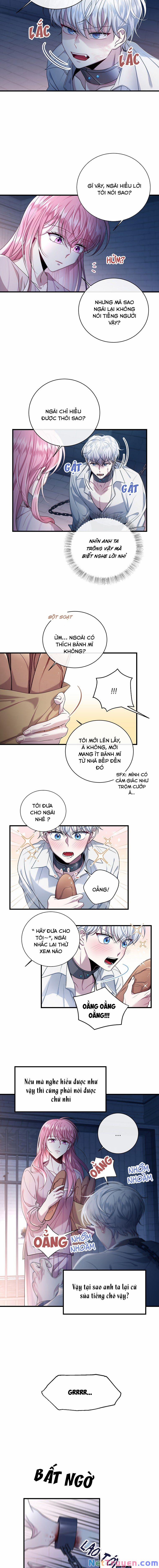 Tôi Đã Gặp Nam Chính Ở Trong Tù 3 trang 1