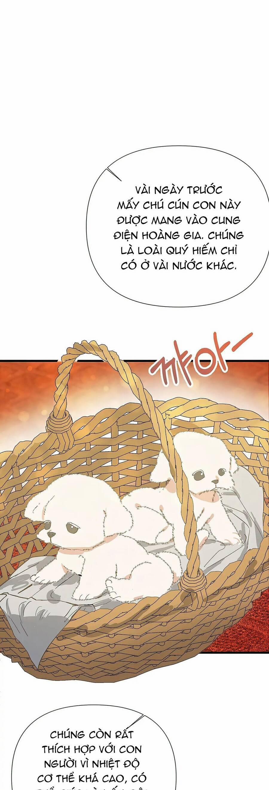 Tôi Đã Trở Thành Cô Em Gái Giả Mạo 7 trang 1
