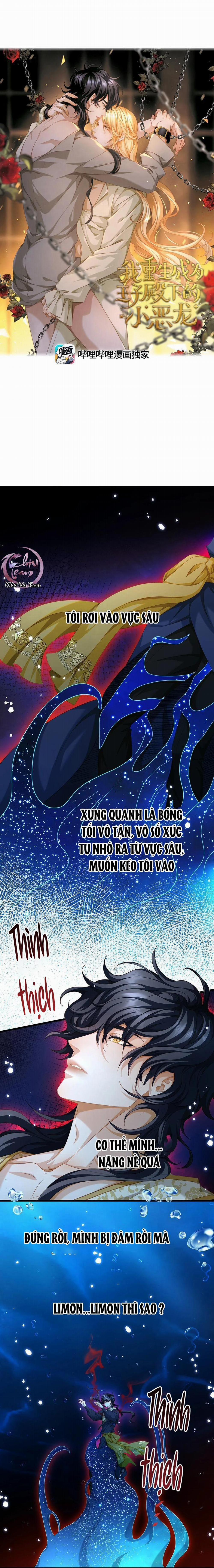 Tôi Tái Sinh Thành Tiểu Ác Long Của Hoàng Tử Điện Hạ 41 trang 0