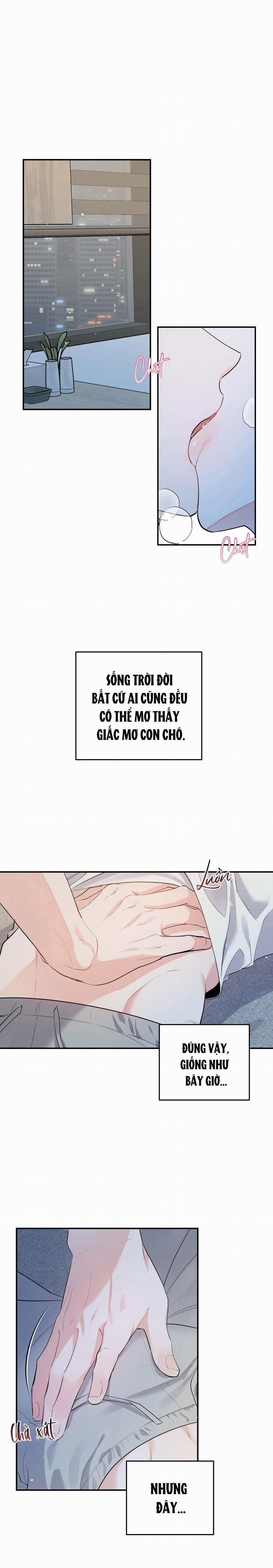 Tuyển Tập Truyện Ngắn Hỏny Của Nhà Sẹc 55 CON MÈO NÀY 1 trang 1