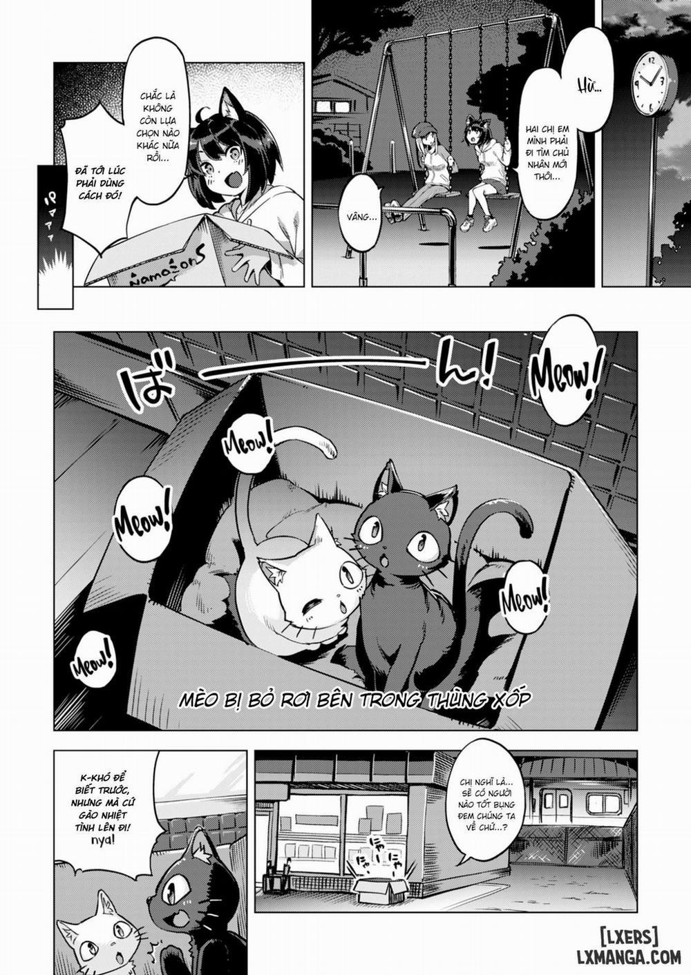 Uninvited Kitties 1 trang 1