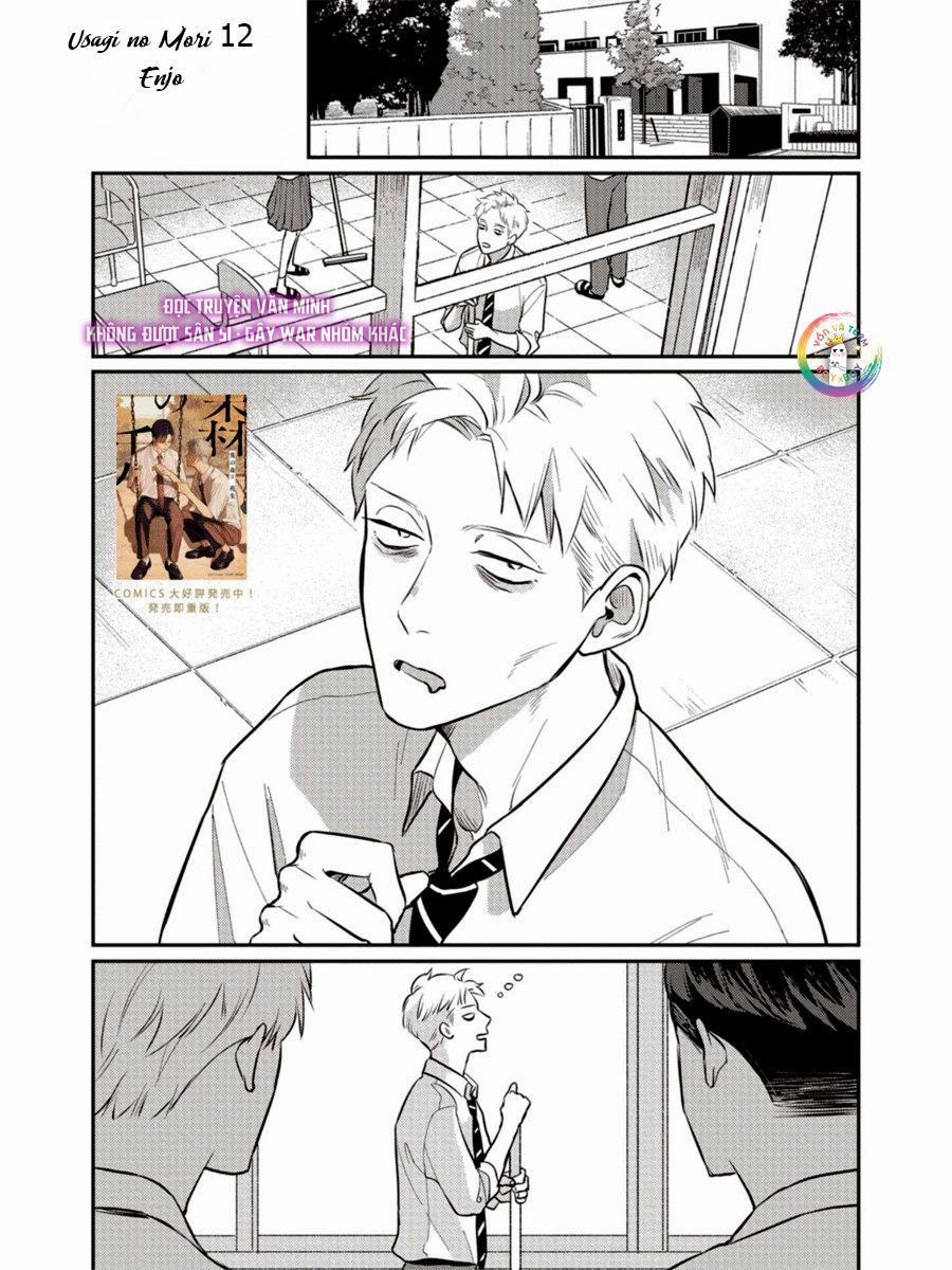Usagi no Mori 12 trang 1