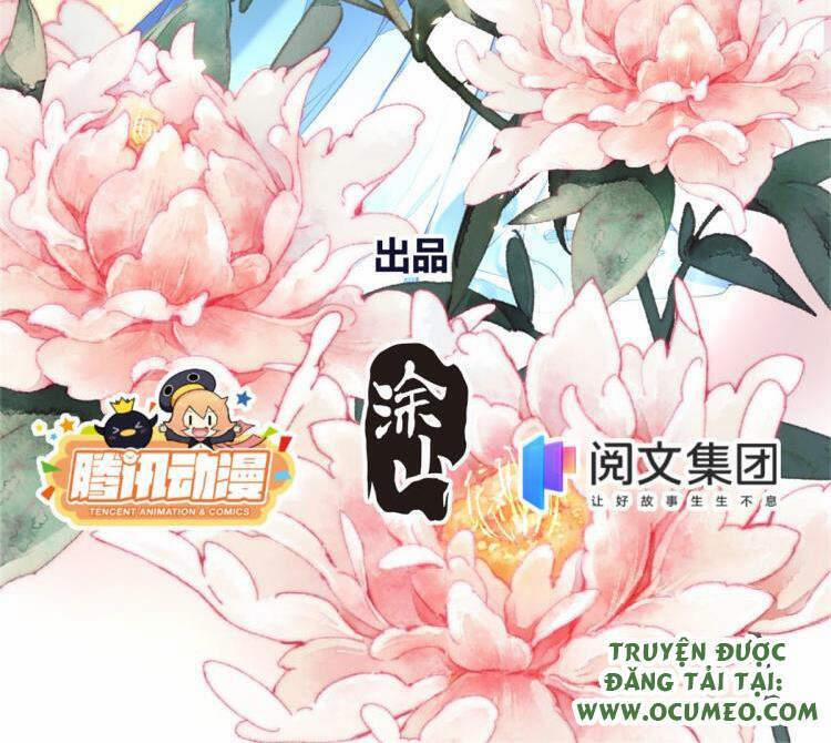 Vấn Đan Chu 19 trang 1
