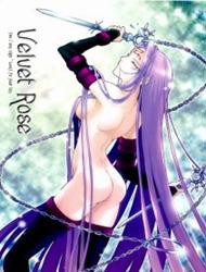 Đọc truyện tranh Velvet Rose (Fate Stay Night)
