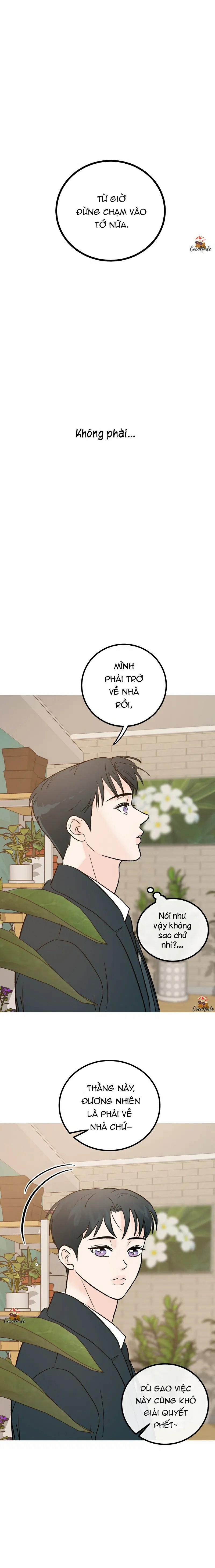 Vết Đỏ 3 trang 0