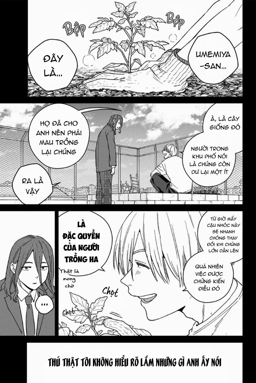 Wind Breaker (Nii Satoru) 164 trang 0